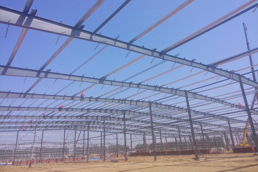 Hisense Logistics3