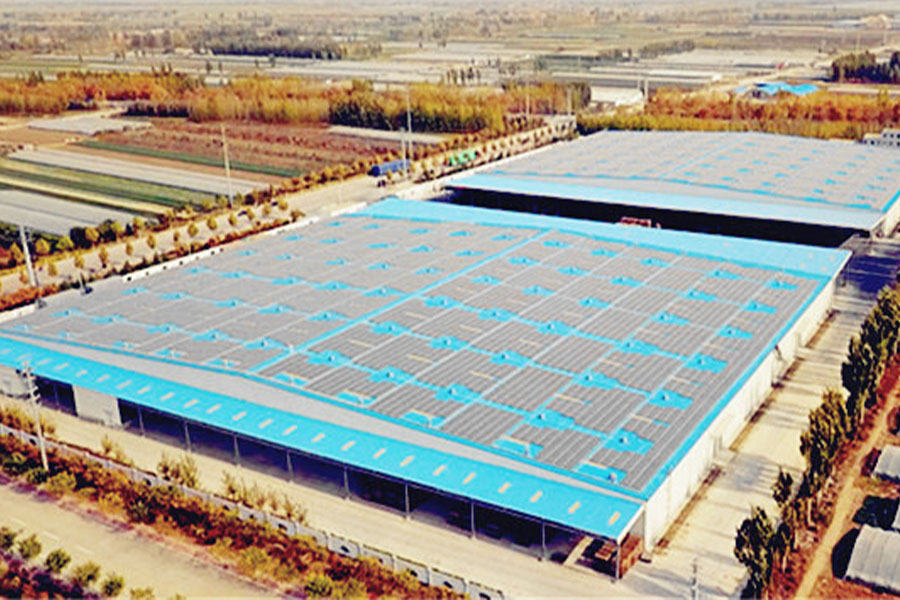 Hisense Logistics4